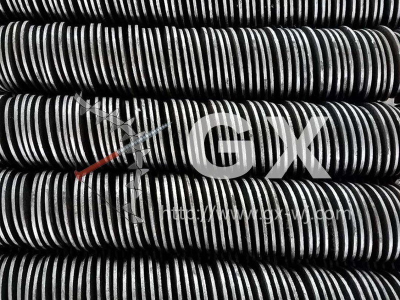 �����Ⱥ�ҶƬ